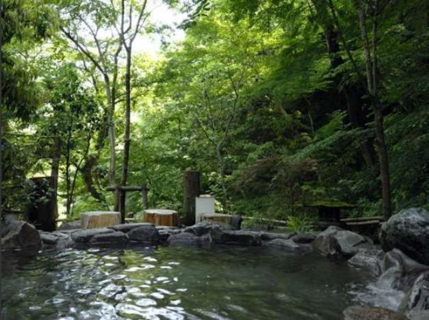 Hotel Nanpuso Hakone Extérieur photo
