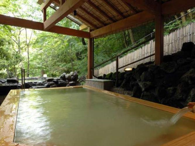 Hotel Nanpuso Hakone Extérieur photo